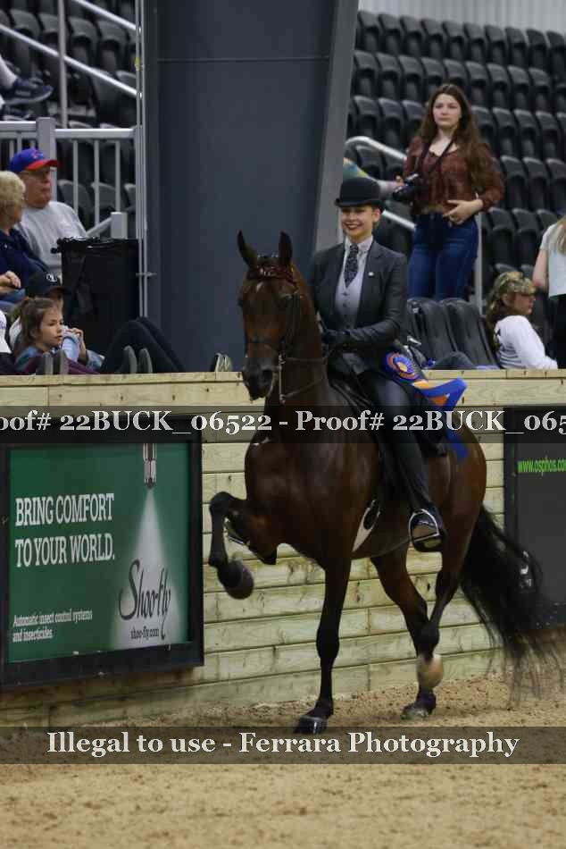 Proof 22BUCK_06522
