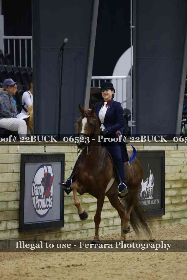 Proof 22BUCK_06523