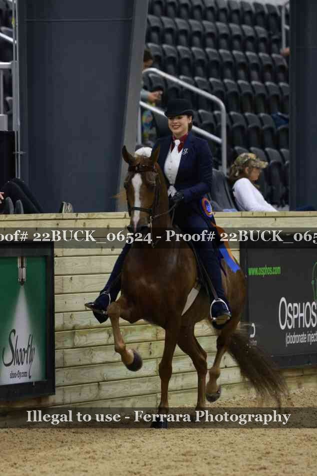Proof 22BUCK_06524