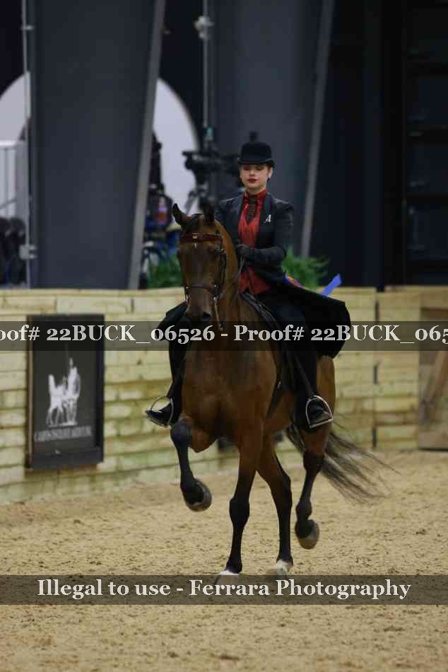 Proof 22BUCK_06526