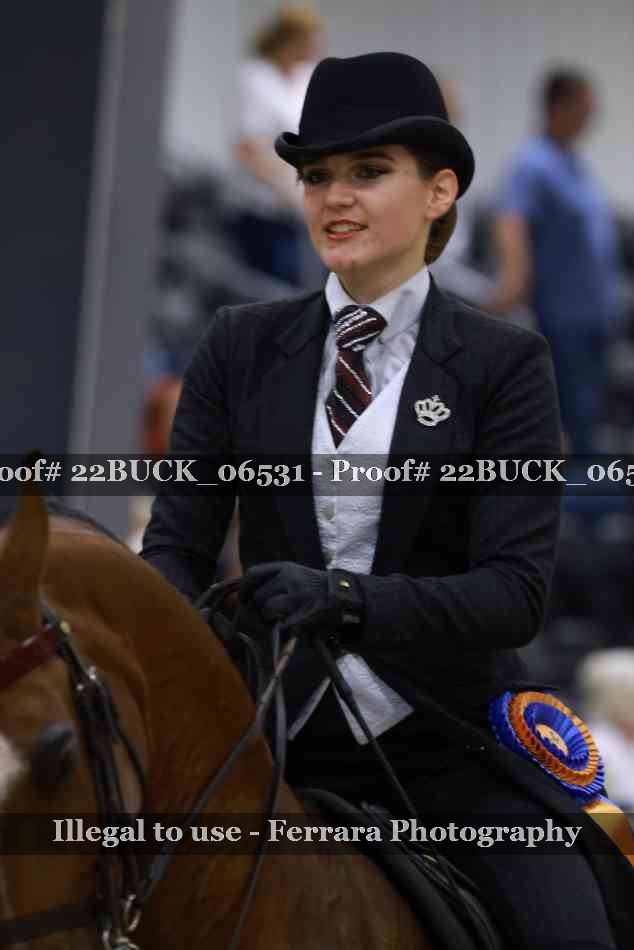 Proof 22BUCK_06531