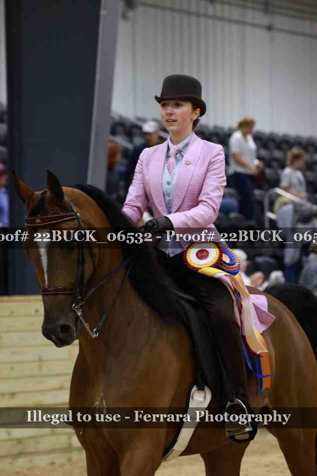 Proof 22BUCK_06532