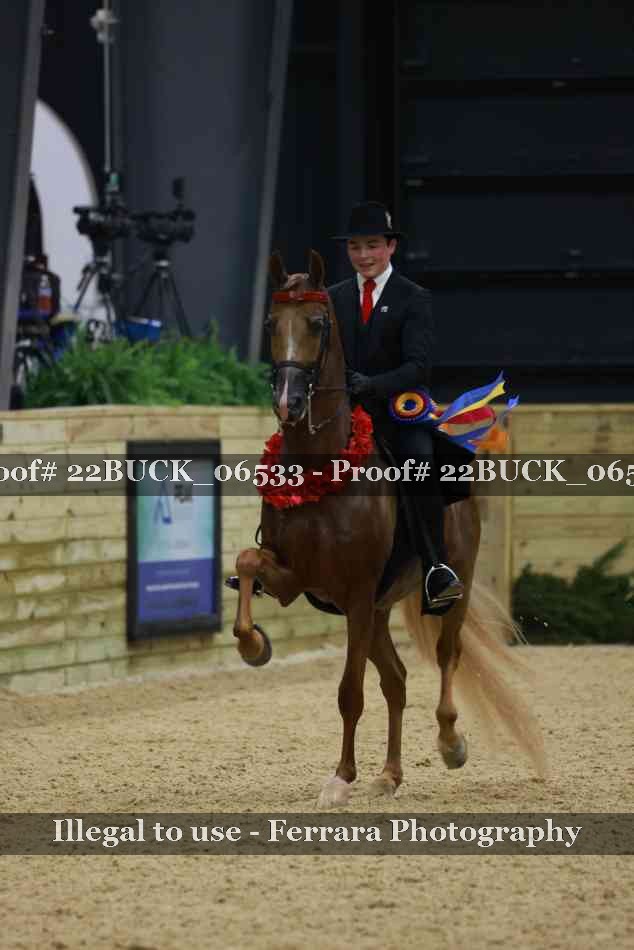 Proof 22BUCK_06533