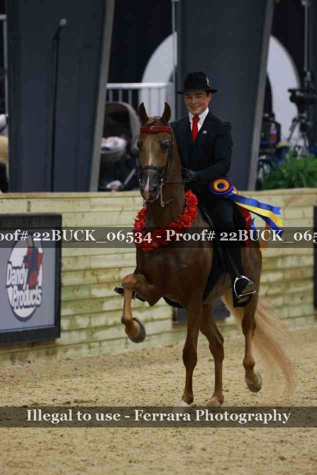 Proof 22BUCK_06534