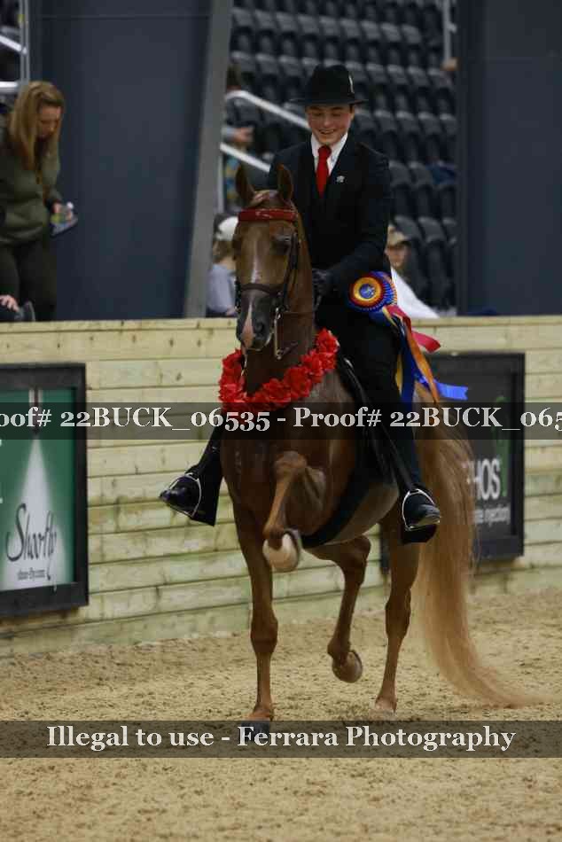 Proof 22BUCK_06535