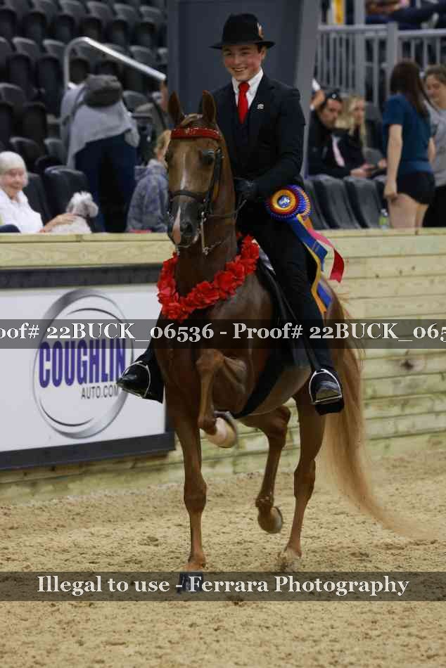 Proof 22BUCK_06536