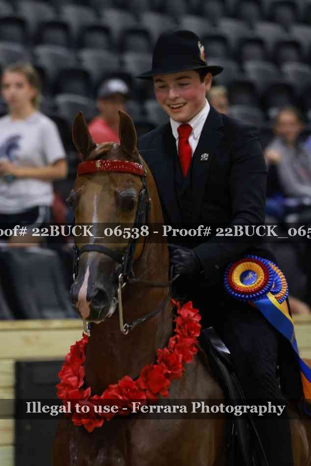 Proof 22BUCK_06538