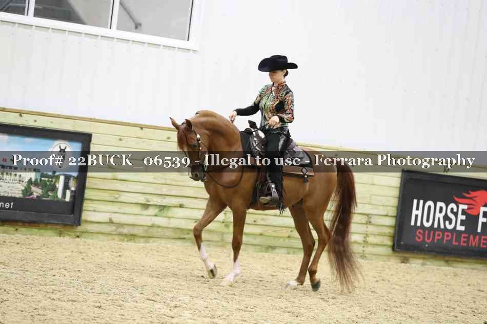Proof 22BUCK_06539