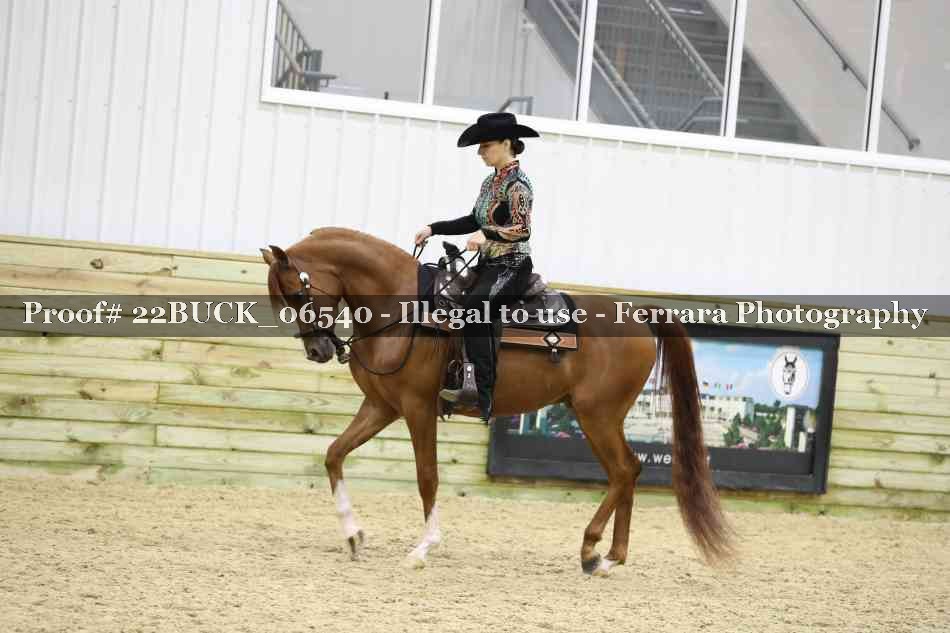 Proof 22BUCK_06540