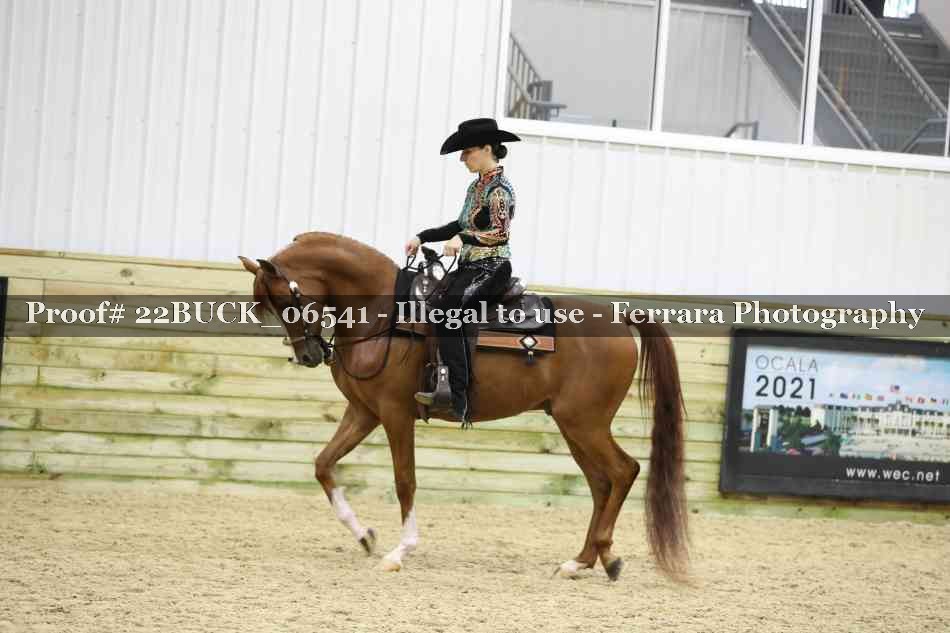 Proof 22BUCK_06541
