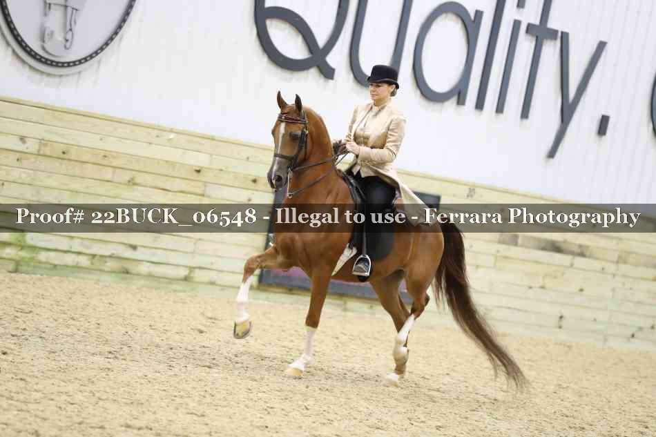 Proof 22BUCK_06548