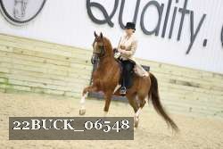 22BUCK_06548 proof