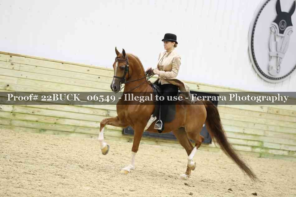 Proof 22BUCK_06549