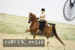 22BUCK_06549 proof