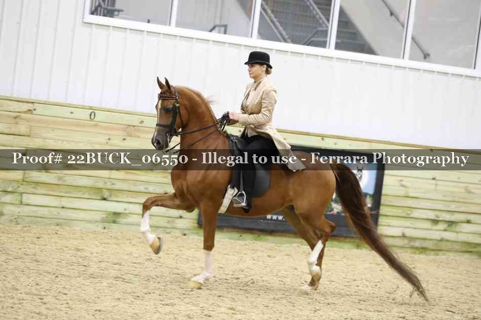Proof 22BUCK_06550