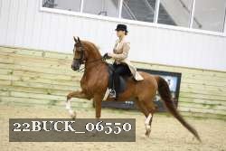 22BUCK_06550 proof