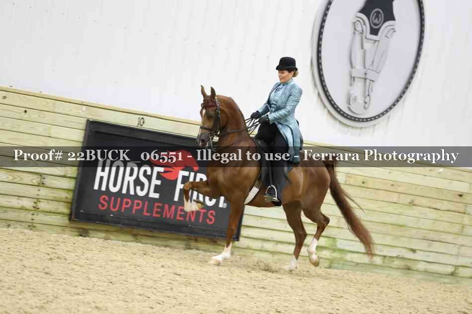 Proof 22BUCK_06551