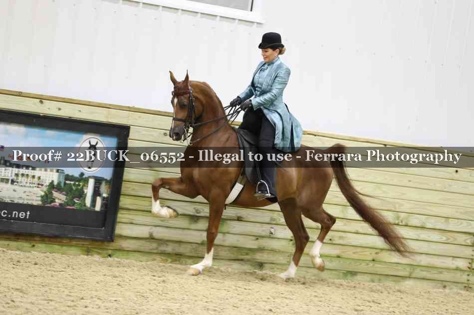 Proof 22BUCK_06552