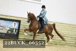 22BUCK_06552 proof