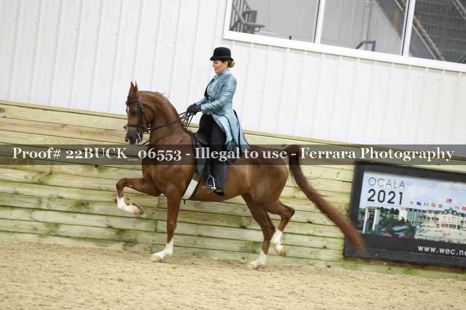 Proof 22BUCK_06553