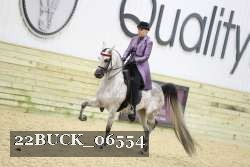 22BUCK_06554 proof