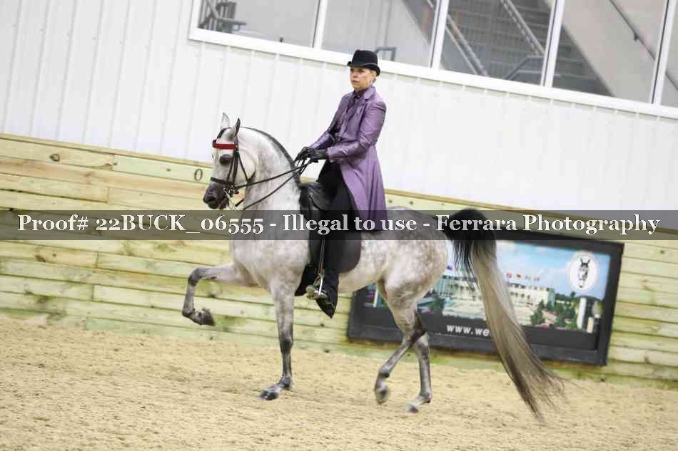 Proof 22BUCK_06555