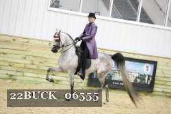 22BUCK_06555 proof