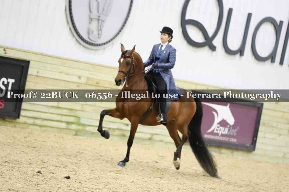 Proof 22BUCK_06556