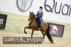 22BUCK_06556 proof