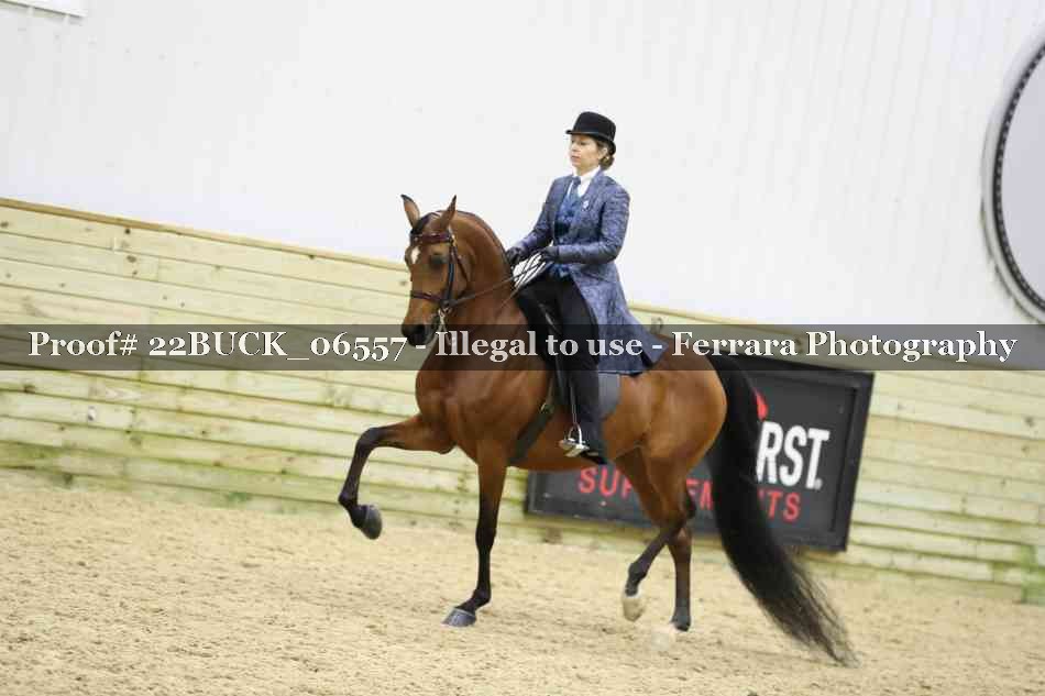 Proof 22BUCK_06557