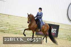 22BUCK_06557 proof