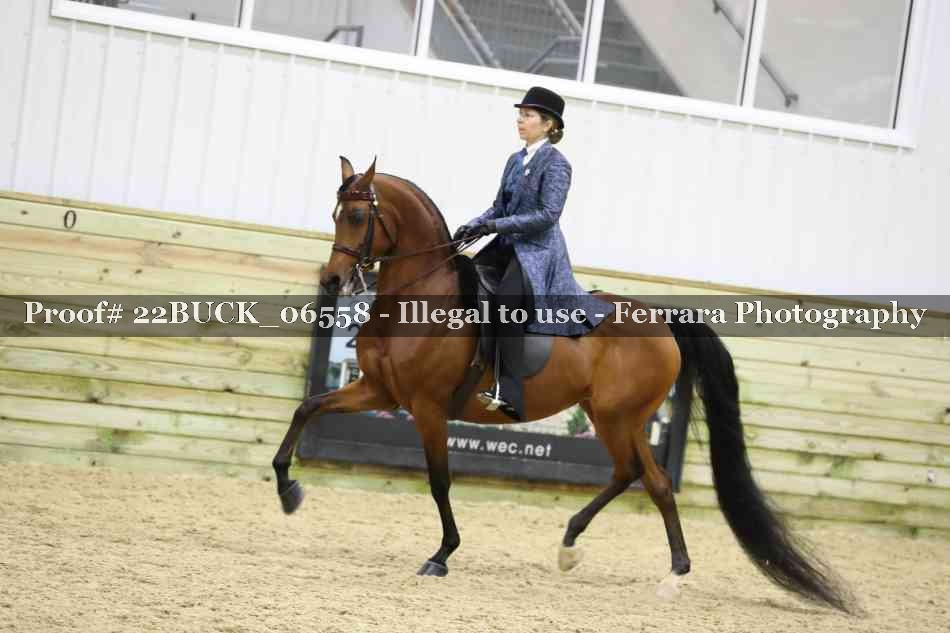 Proof 22BUCK_06558