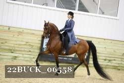 22BUCK_06558 proof