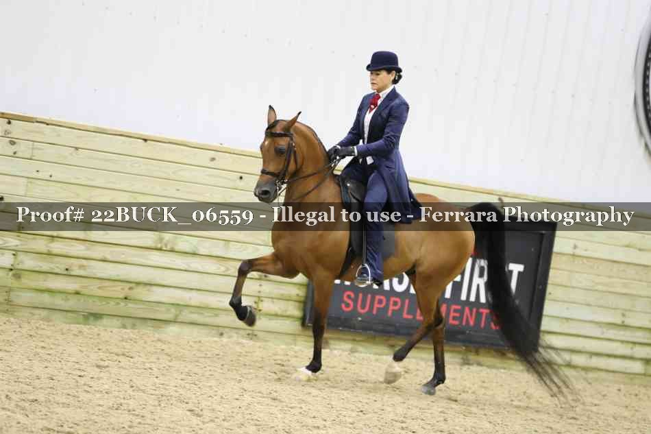 Proof 22BUCK_06559