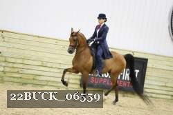 22BUCK_06559 proof