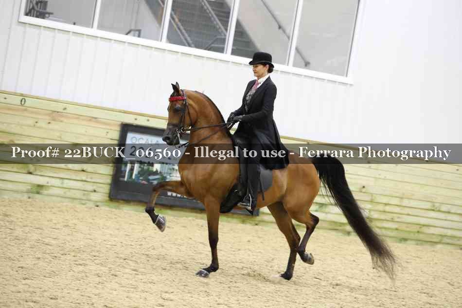 Proof 22BUCK_06560