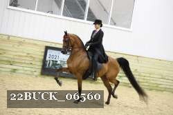 22BUCK_06560 proof