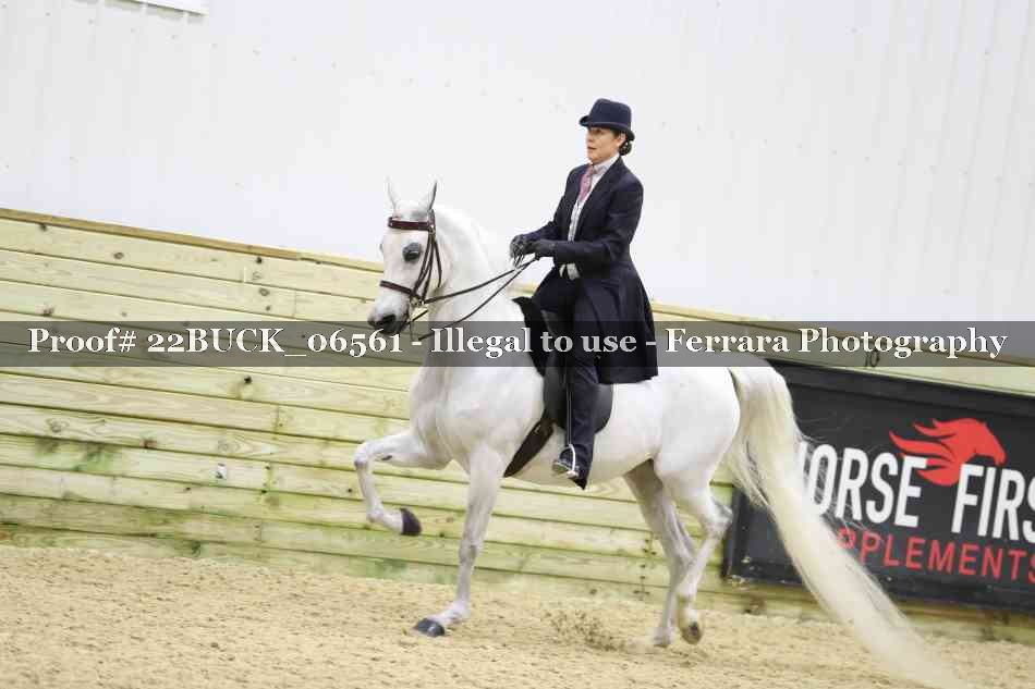 Proof 22BUCK_06561
