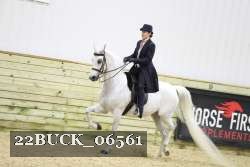 22BUCK_06561 proof