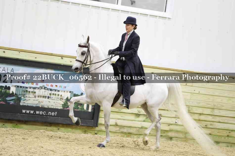 Proof 22BUCK_06562