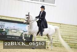 22BUCK_06562 proof
