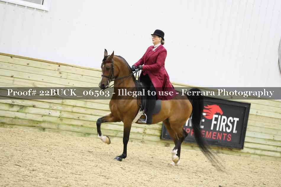 Proof 22BUCK_06563