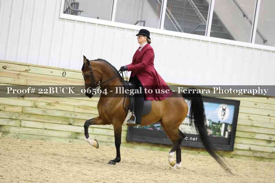 Proof 22BUCK_06564