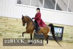 22BUCK_06564 proof