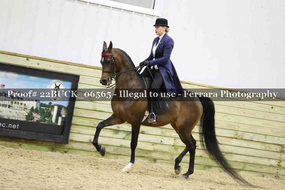 Proof 22BUCK_06565
