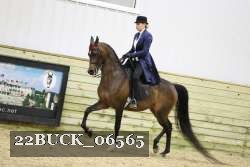 22BUCK_06565 proof