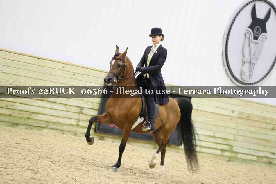 Proof 22BUCK_06566