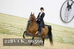 22BUCK_06566 proof