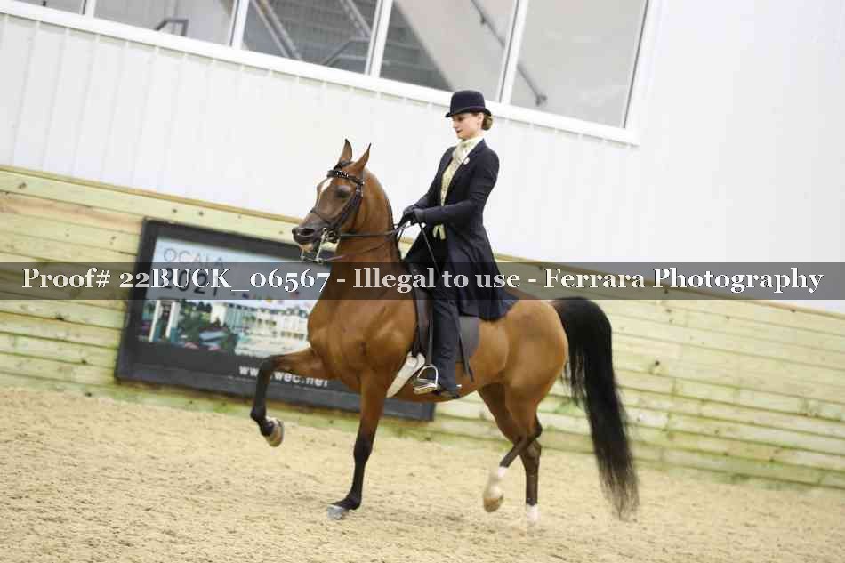 Proof 22BUCK_06567