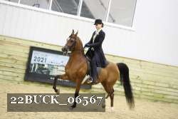 22BUCK_06567 proof